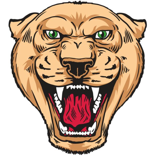 AR13 PNTHR 01 RQC Thumbnail